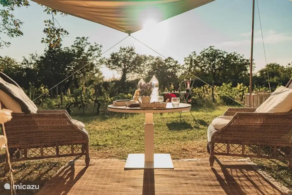 Relájate en el viñedo