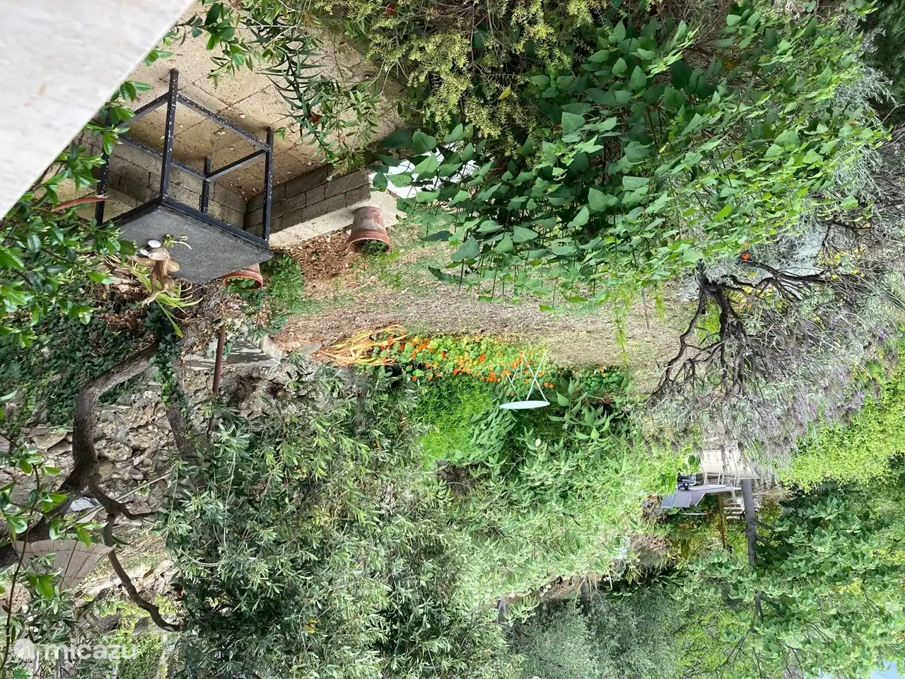 vue depuis la fenêtre de la cuisine