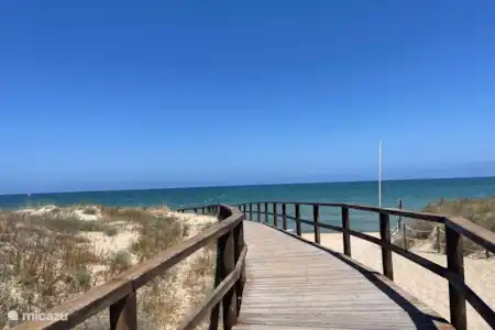 Plage La Marina