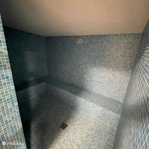 el baño de vapor