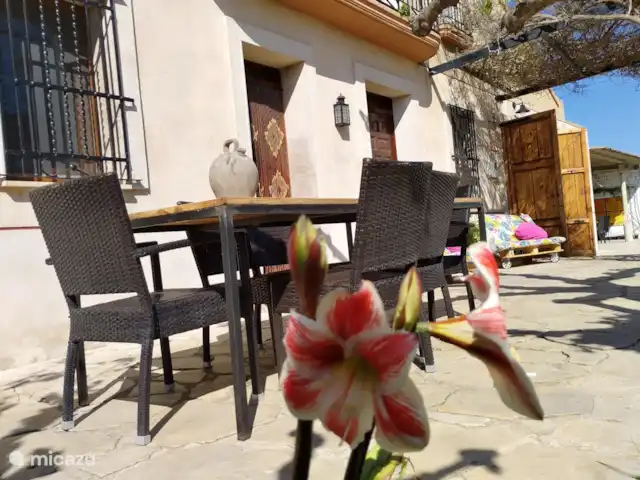 Massia Celestino | Espagne, Catalogne,  Deltebre - maison de vacances Il y a 2 longues tables à l'extérieur pour des repas agréables à l'extérieur, à l'ombre de l'arbre.