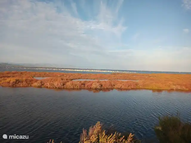 Massia Celestino | Espagne, Catalogne,  Deltebre - maison de vacances Des flamants roses, toute l'année.
