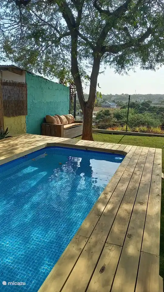 Unser Tauchbecken ist der ideale Ort für einen abendlichen Drink, während Sie die Lichter von Willemstad unter sich genießen.