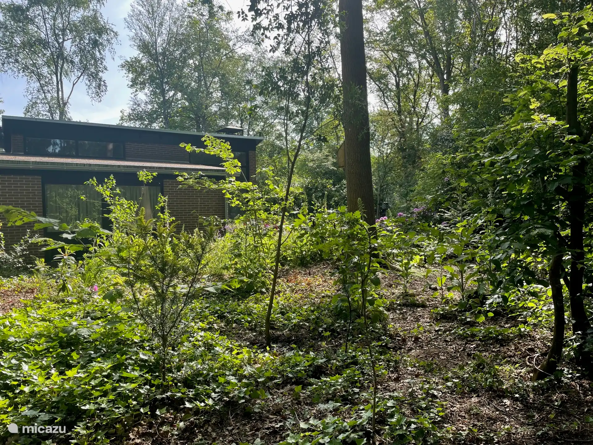 tuin vanaf de straatkant