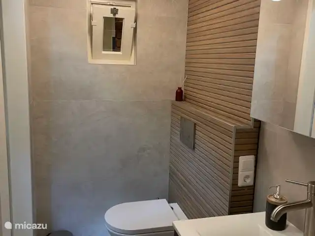 casa vacacional en Países Bajos, Drente, Ruinen – Casa de vacaciones Ruinen 'De Bosnimpf' Cuarto de baño y aseo nuevos