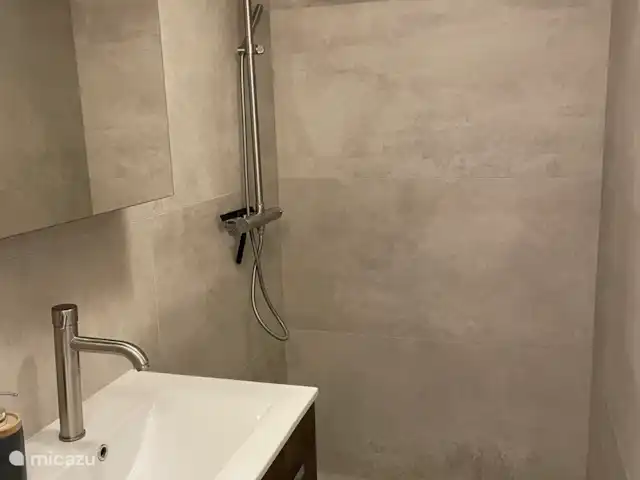 casa vacacional en Países Bajos, Drente, Ruinen – Casa de vacaciones Ruinen 'De Bosnimpf' Ducha de lluvia y lavabo, mueble y espejo