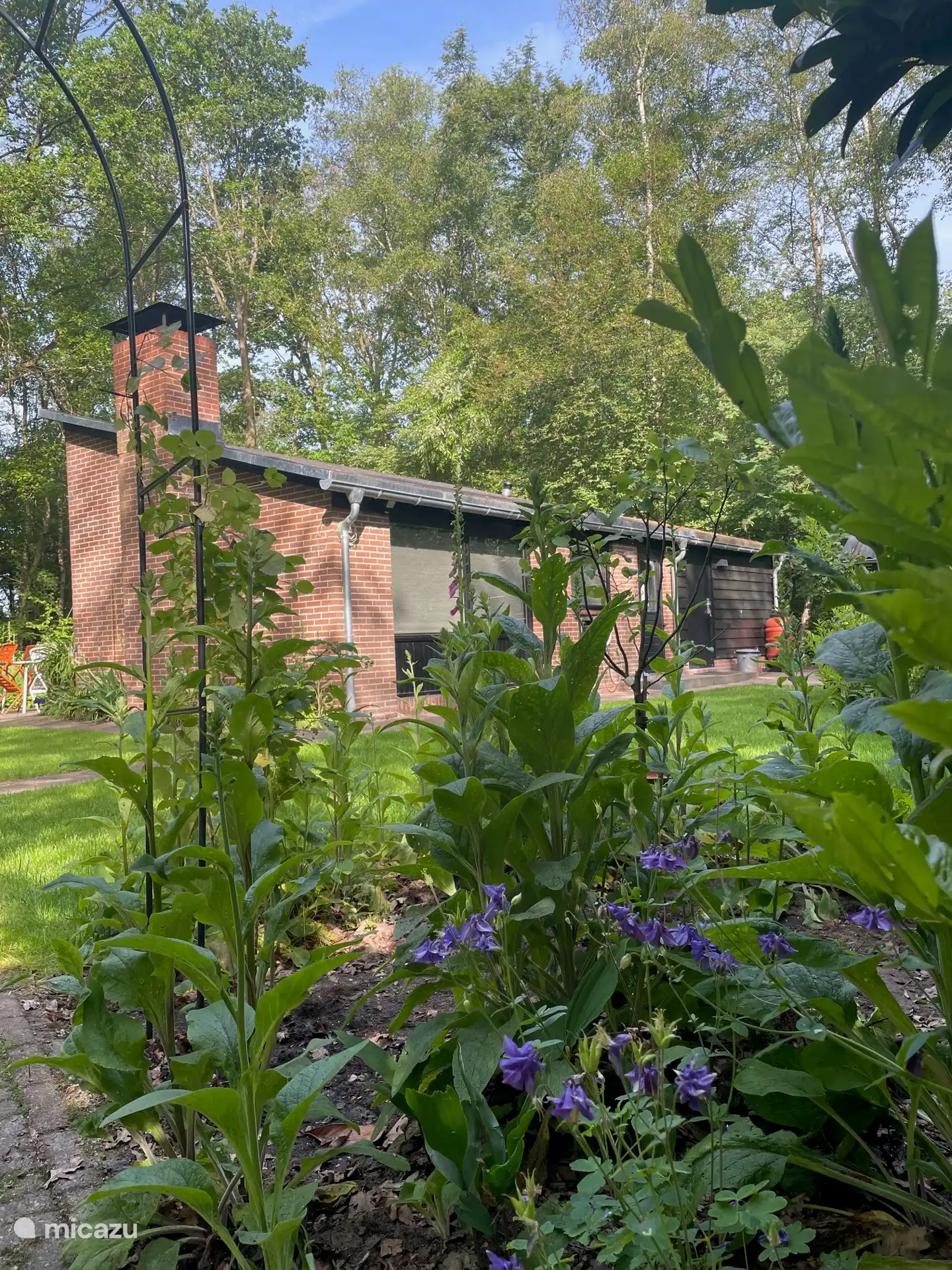 tuin rondom de woning 