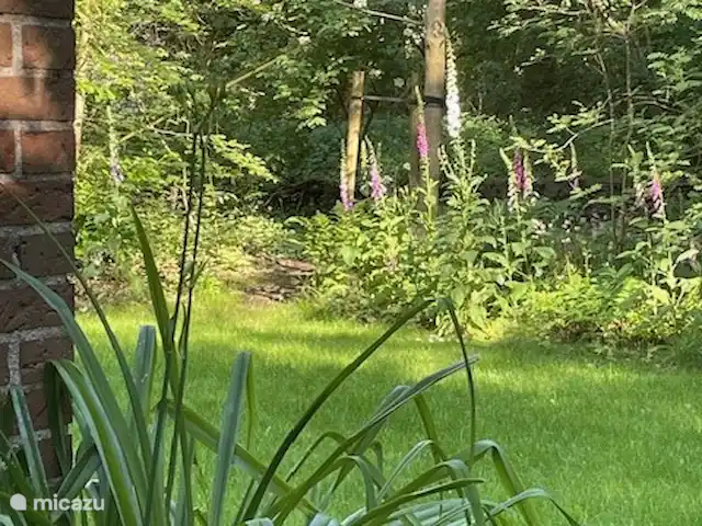 casa vacacional en Países Bajos, Drente, Ruinen – Casa de vacaciones Ruinen 'De Bosnimpf' Jardín con Nogal