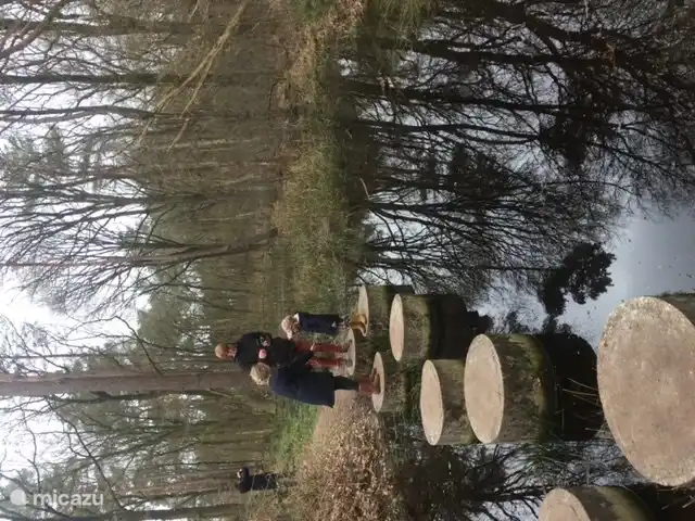 Waldwanderung im angrenzenden Naturpark Dwingelderveld