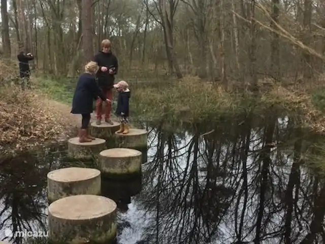 casa vacacional en Países Bajos, Drente, Ruinen – Casa de vacaciones Ruinen 'De Bosnimpf' Paseo por el bosque en el adyacente Parque Natural de Dwingelderveld