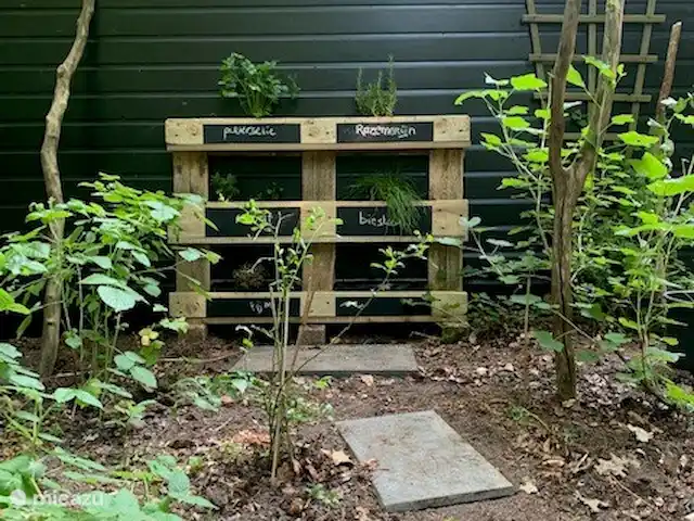 casa vacacional en Países Bajos, Drente, Ruinen – Casa de vacaciones Ruinen 'De Bosnimpf' Jardín de frutas y hierbas, entre otros. arbustos de bayas/frambuesas, que puede usar