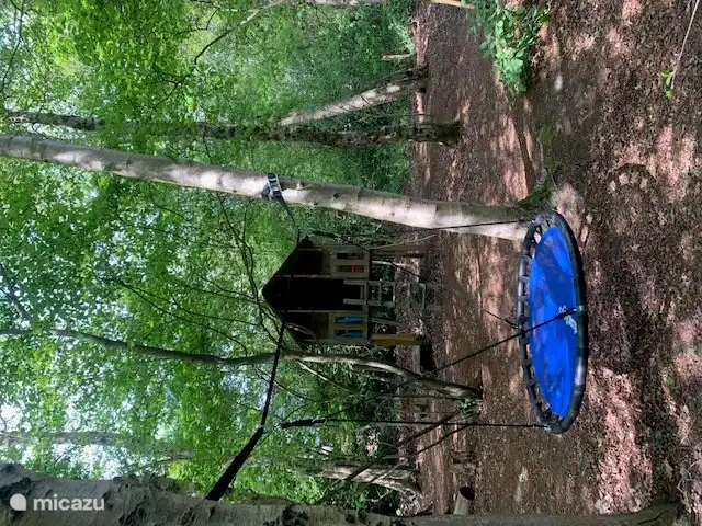 Spielwald mit Waldhütte, Sandkasten und Schaukelschaukel