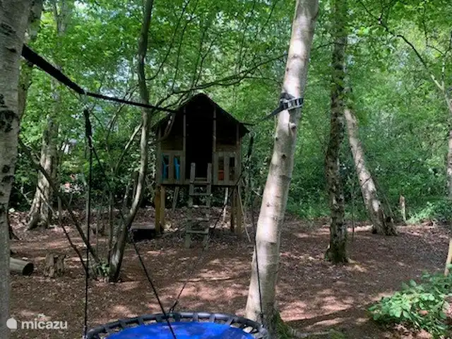 casa vacacional en Países Bajos, Drente, Ruinen – Casa de vacaciones Ruinen 'De Bosnimpf' Bosque de juegos con cabaña forestal, caja de arena y columpio