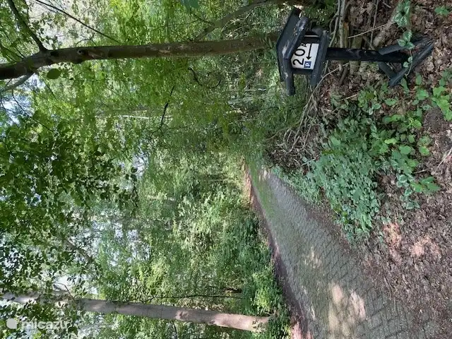 Straße zum Forsthaus