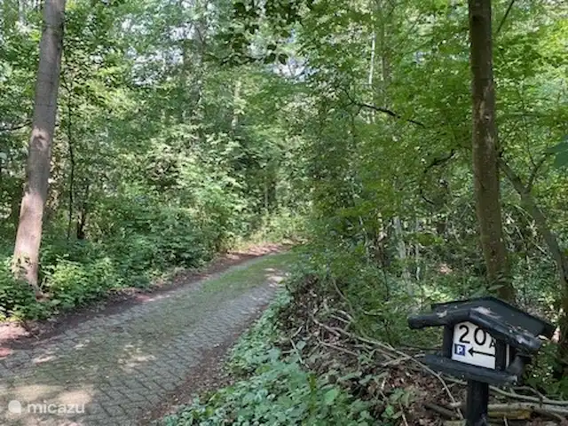 casa vacacional en Países Bajos, Drente, Ruinen – Casa de vacaciones Ruinen 'De Bosnimpf' Calle a la casa del bosque