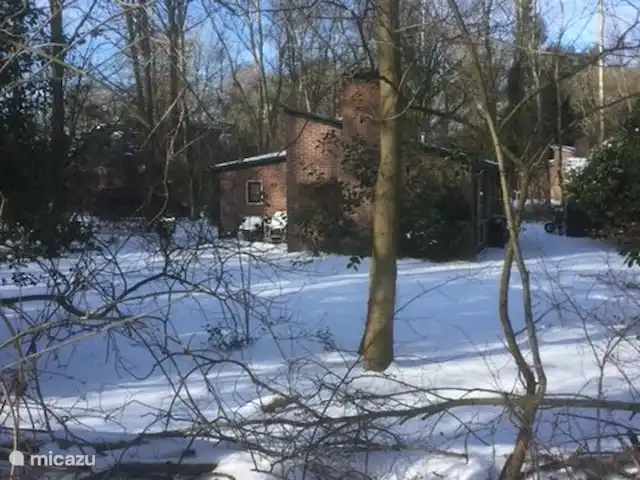 casa vacacional en Países Bajos, Drente, Ruinen – Casa de vacaciones Ruinen 'De Bosnimpf' paisaje de invierno