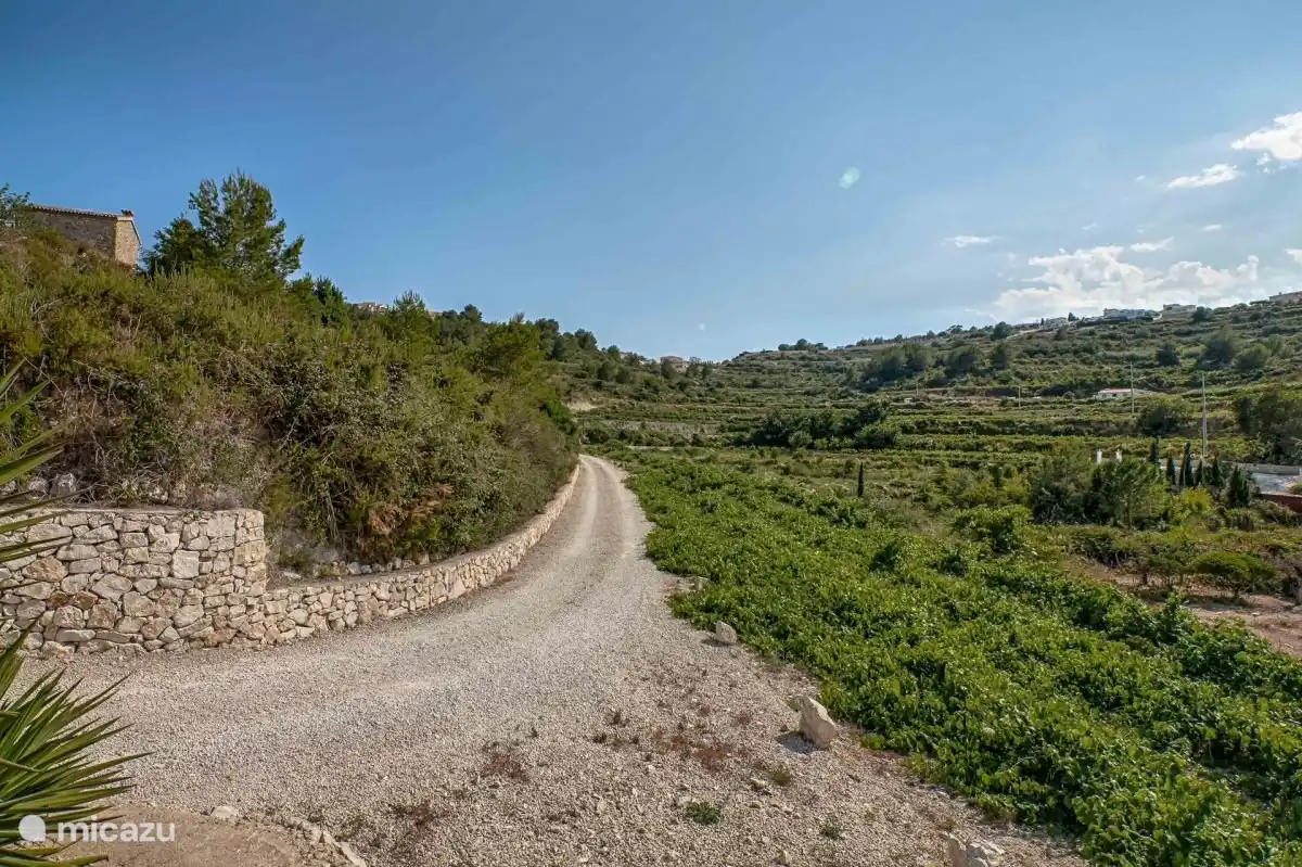 Geräumige private Auffahrt mit Weinberg.