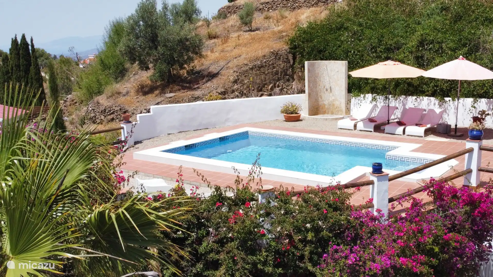 Pool with 4 sun loungers