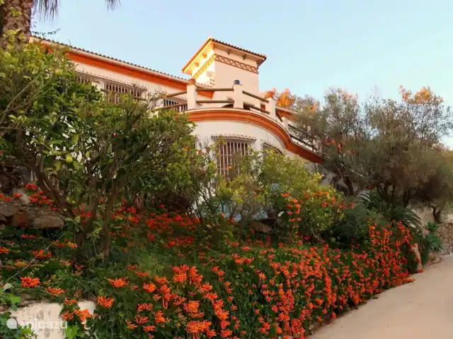 Location de Vacances Espagne, Andalousie, Sayalonga, villa - Villa Los Naranjos, vue sur la piscine et la mer Villa avec vue latérale