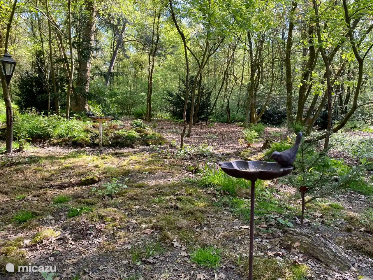 uitzicht vanuit huis en terras