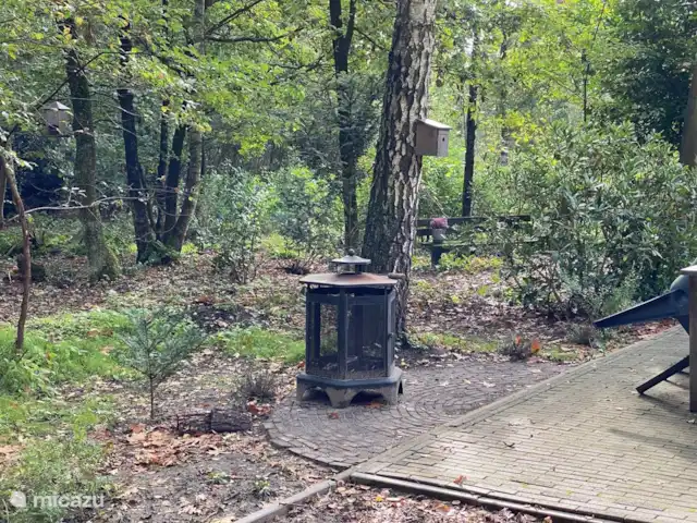 Marguerite | Pays-Bas, Overijssel, Nutter - bungalow De la canopée. Le jardin se jette dans la forêt