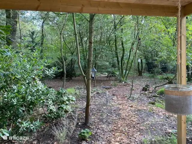 Marguerite | Pays-Bas, Overijssel, Nutter - bungalow Canopée directement adjacente à la forêt