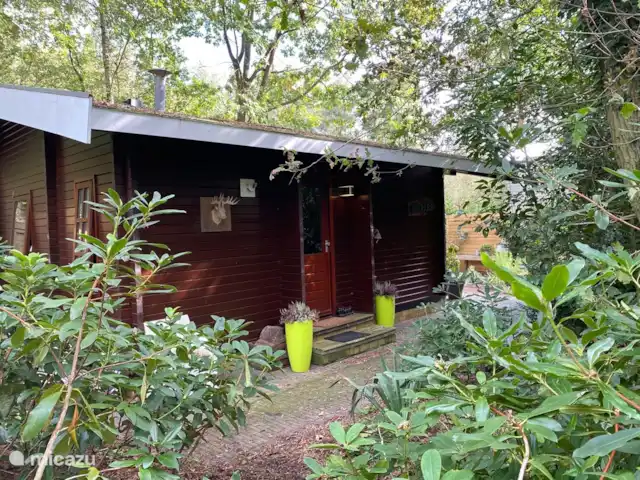 Marguerite | Pays-Bas, Overijssel, Nutter - bungalow Façade avec entrée de la maison nature Madelief