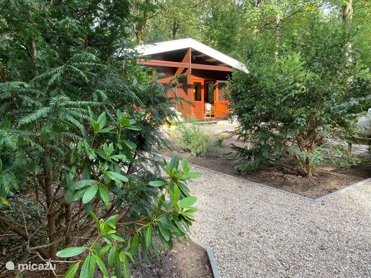 Madelief vanuit oprit