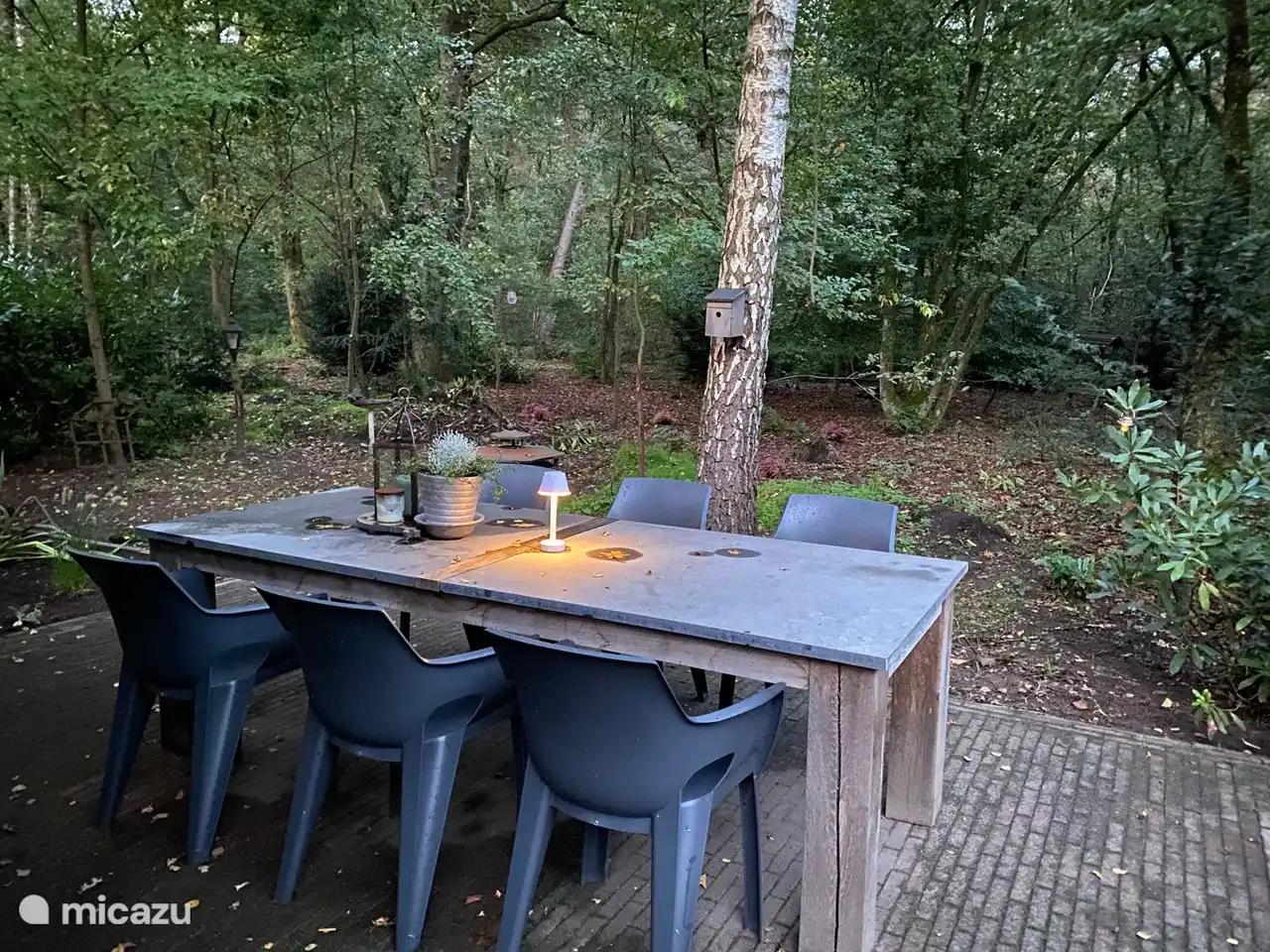 Mooie grote tafel om aan te zitten direct grenzend aan bos