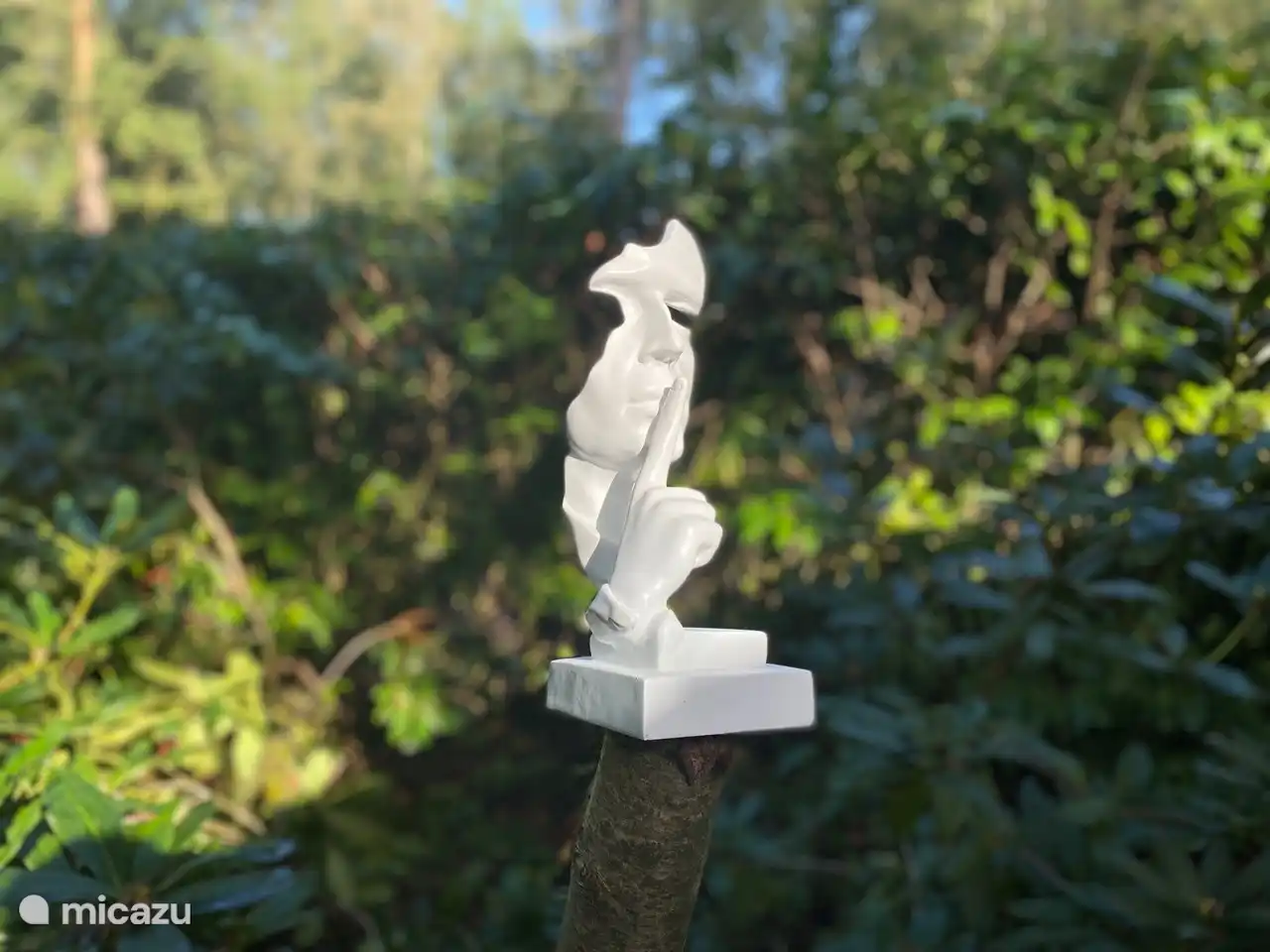 Stiltebeeld op een stilteplek