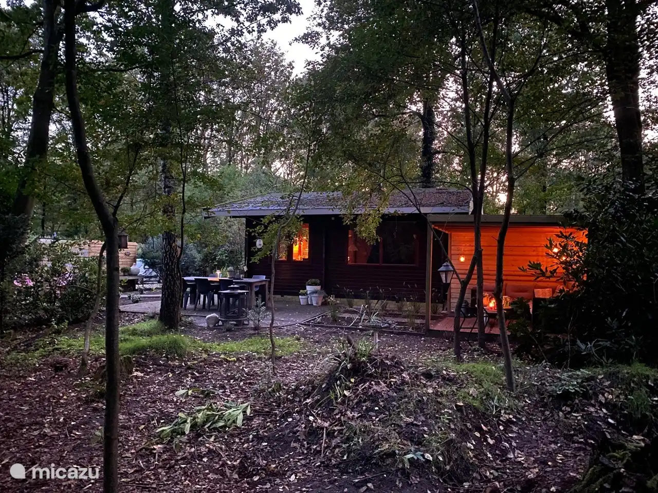 Madelief vanuit het bos