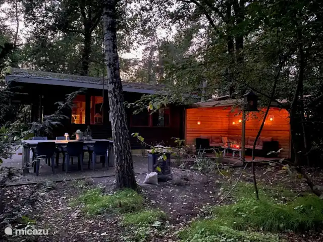 Marguerite | Pays-Bas, Overijssel, Nutter - bungalow Marguerite de la forêt le soir