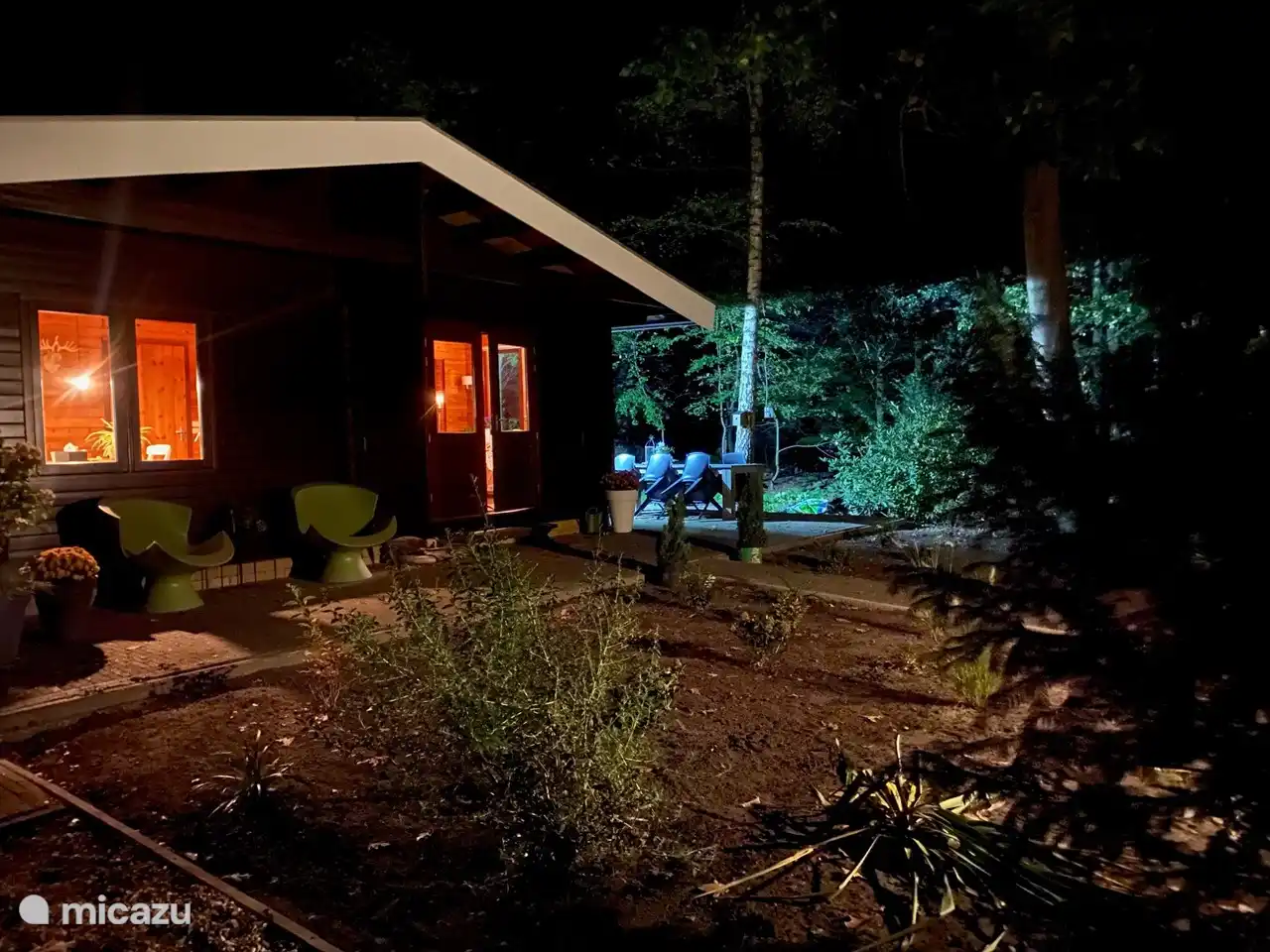 Madelief zijkant bij avond