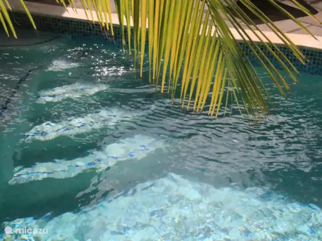 villa en Curazao, Bandabou (oeste), Fontein – CAS IGUANA - vista al mar y privacidad CAS IGUANA - Piscina
