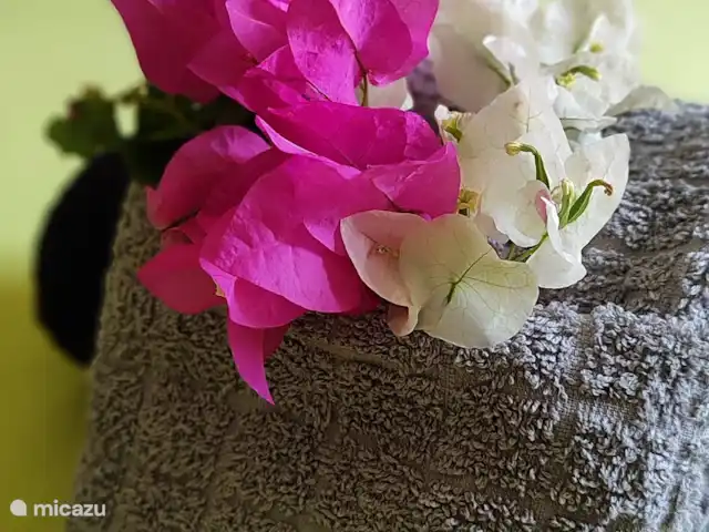 villa en Curazao, Bandabou (oeste), Fontein – CAS IGUANA - vista al mar y privacidad Cas Iguana - Decoración