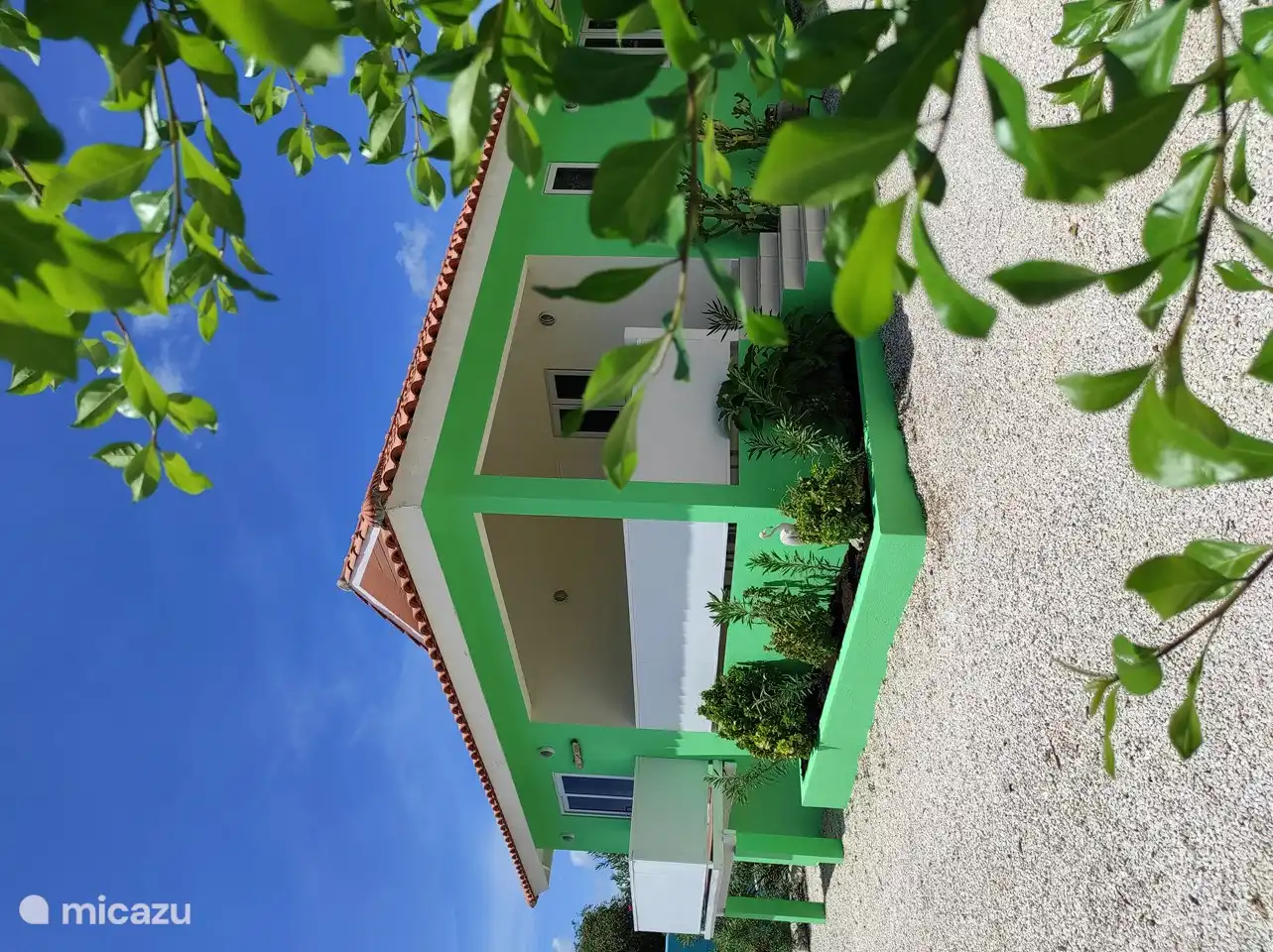 CAS IGUANA with swimming pool