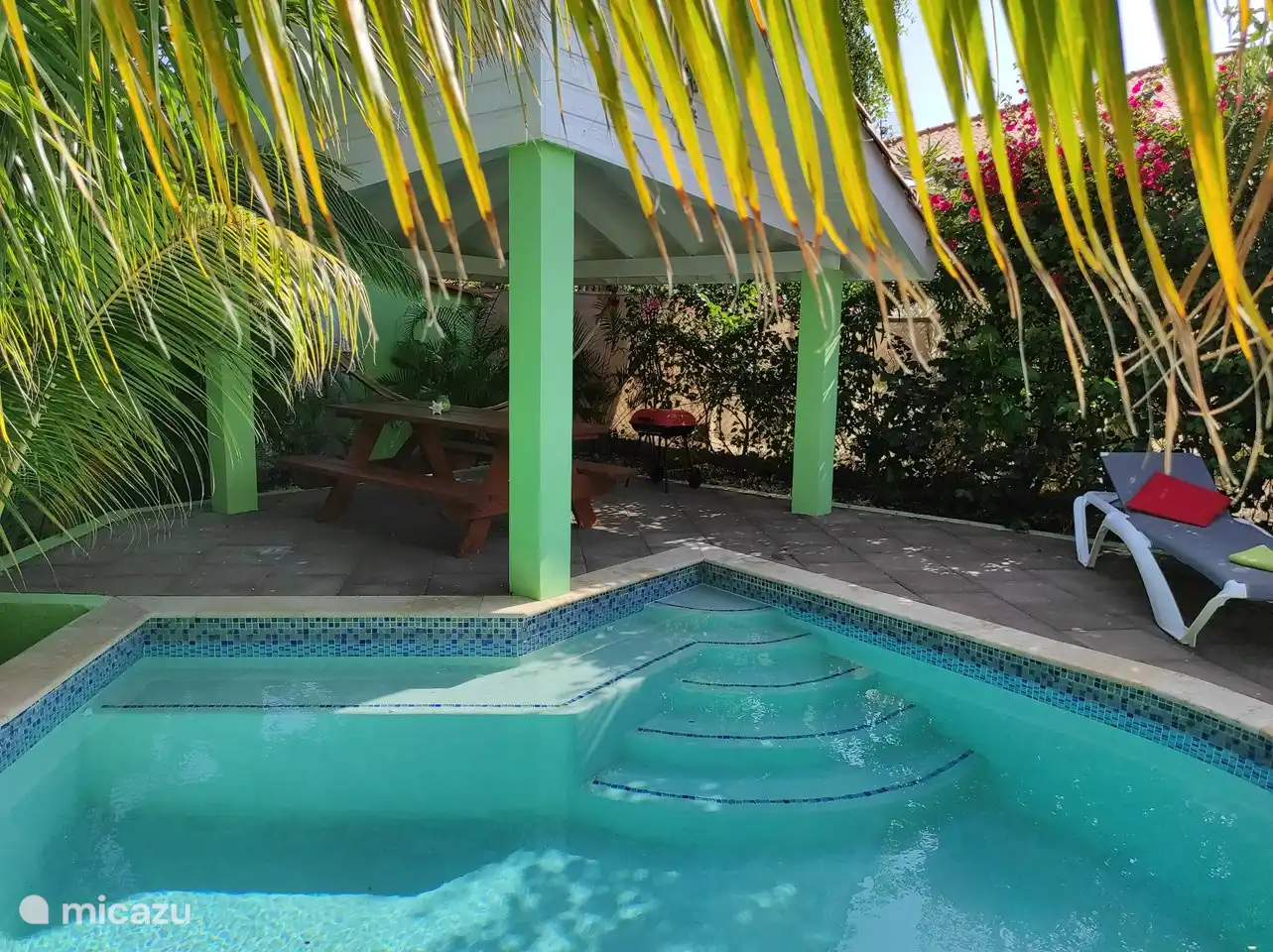 Swimming pool CAS IGUANA