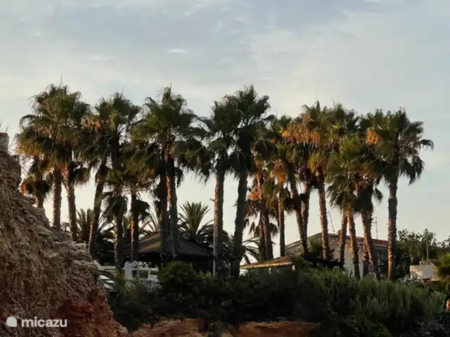 Mediterrane uitkijkpost van Vinaròs huren in Spanje, Costa del Azahar, Vinaroz - appartement Wandel uitzichten