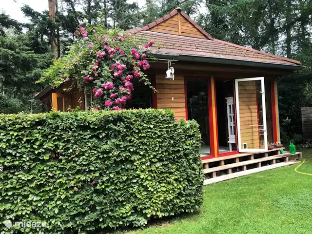 casa rural / cabaña en Países Bajos, Güeldres, Lochem – Tempat Hután casa rural / cabaña en Países Bajos, Güeldres, Lochem – Tempat Hután