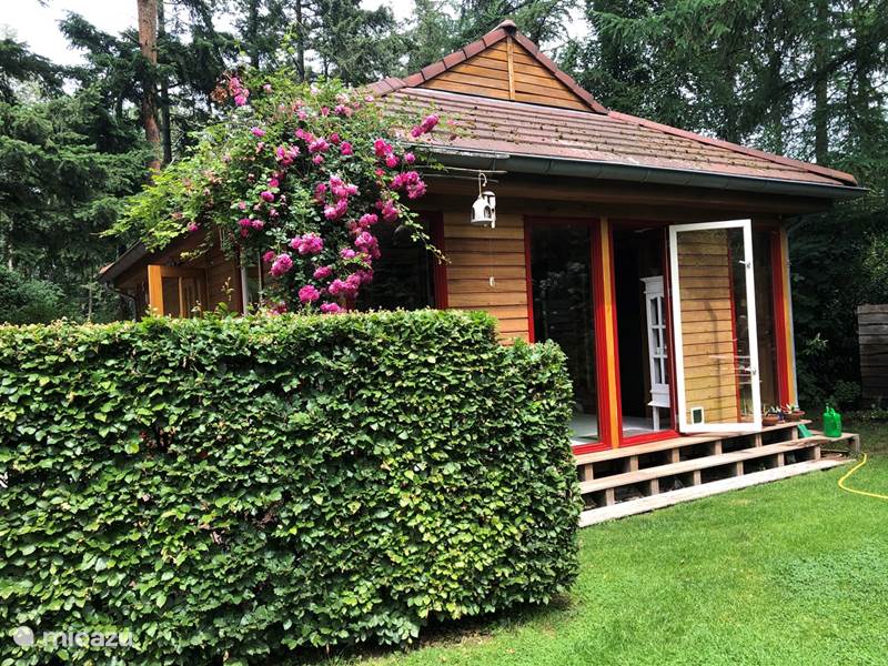 Holiday home in Netherlands, Gelderland, Lochem  Gîte / Cottage Tempat Hutan