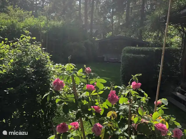 casa rural / cabaña en Países Bajos, Güeldres, Lochem – Tempat Hután