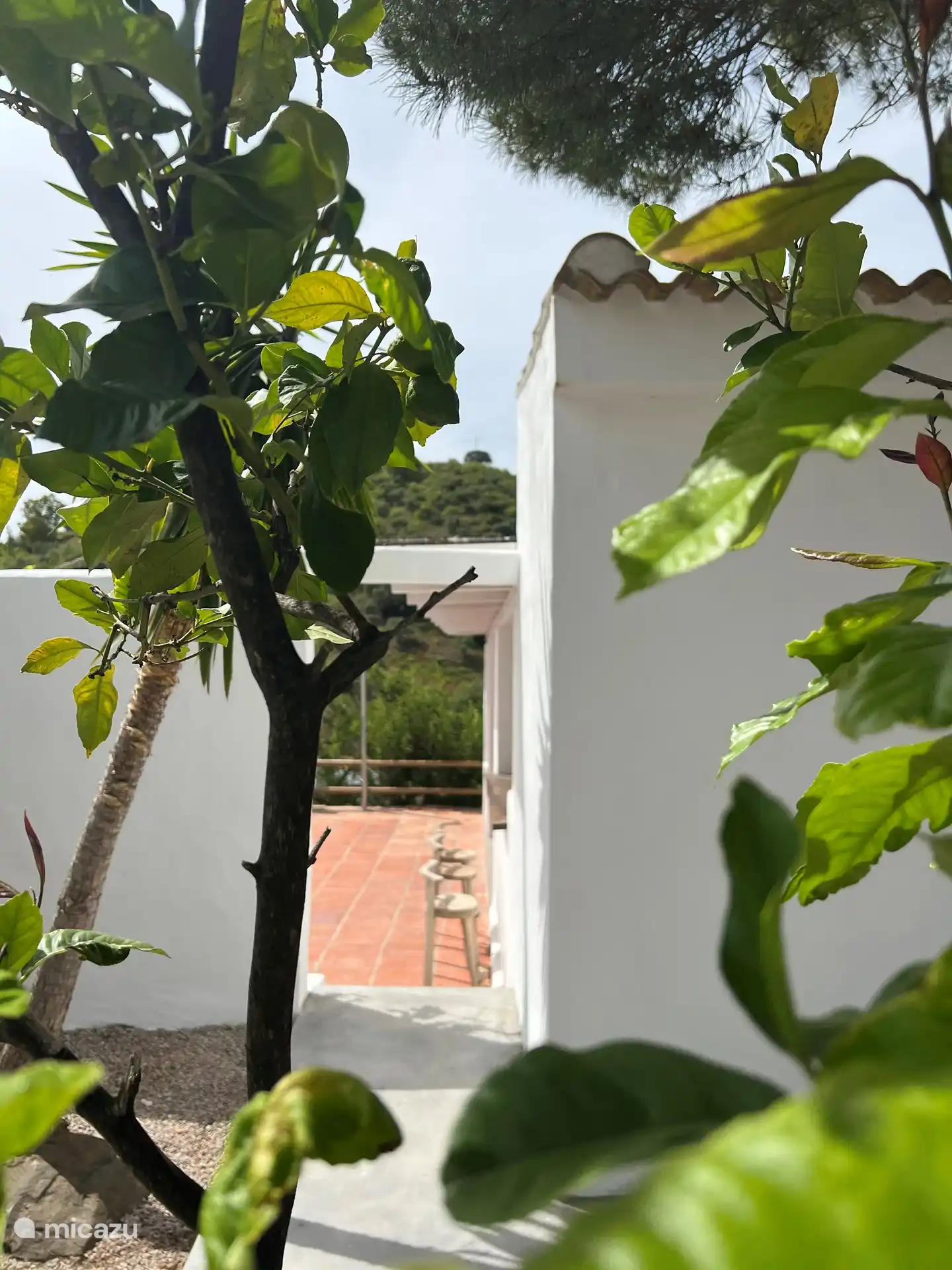 Innenhofgarten mit Zugang zum Pool