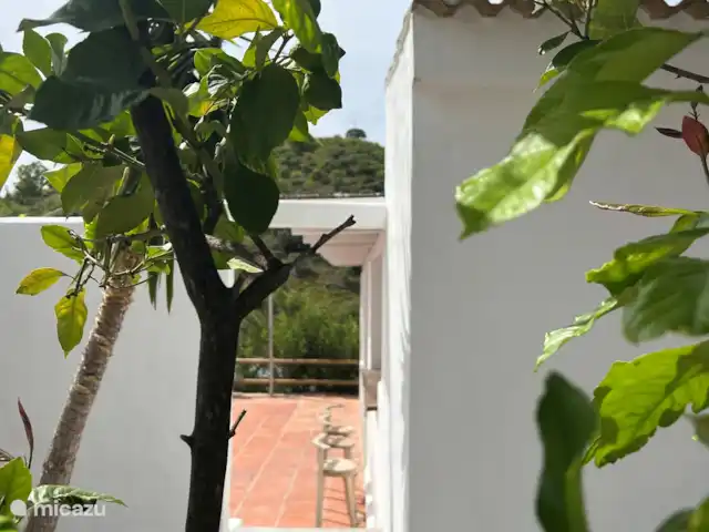 Finca Essenza | Espagne, Andalousie, Colmenar - maison de vacances Jardin de la cour avec accès à la piscine