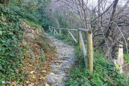 El Parque Natural Sierra Tejeda Almijara