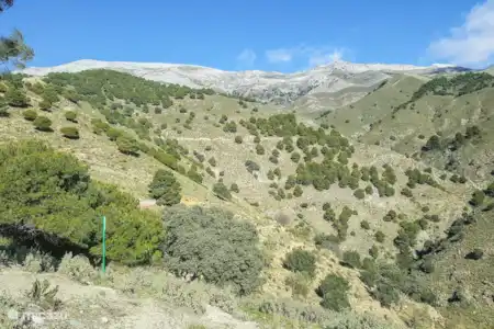 El Parque Natural Sierra Tejeda Almijara