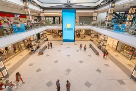 Centro comercial 'El Ingenio'