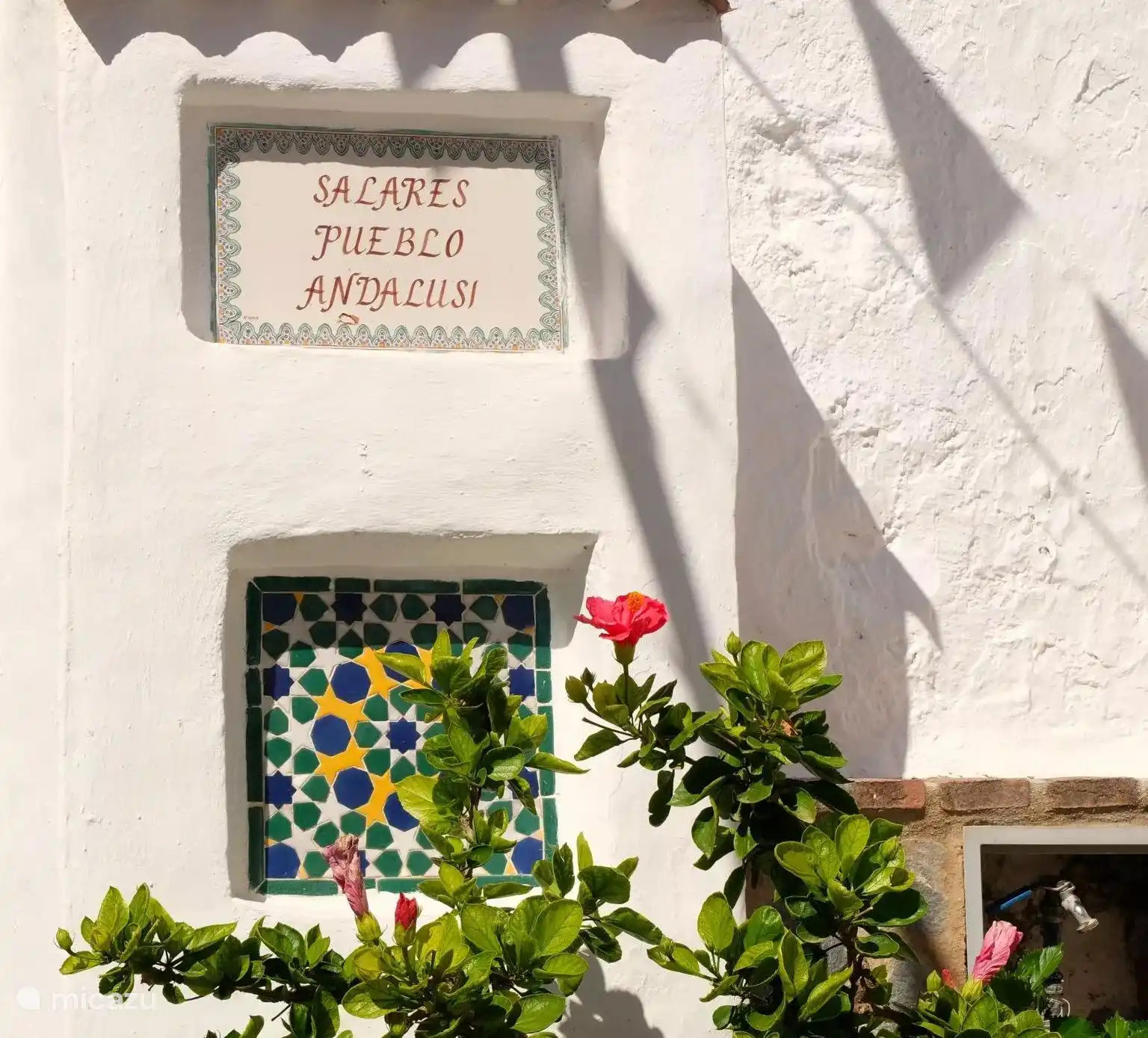 Le village de Salares