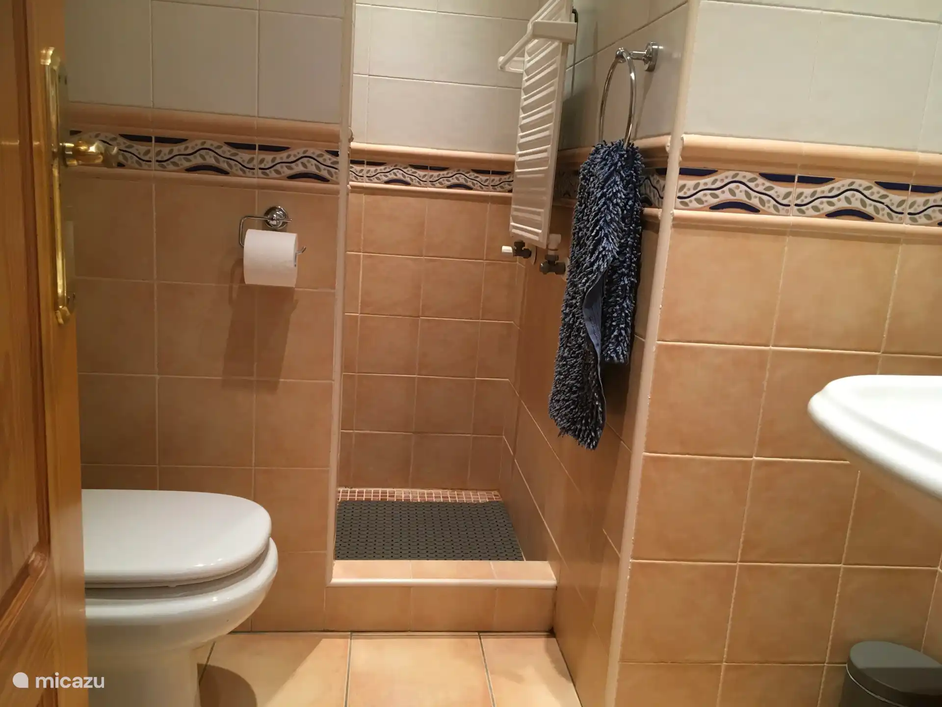 Badezimmer mit begehbarer Dusche