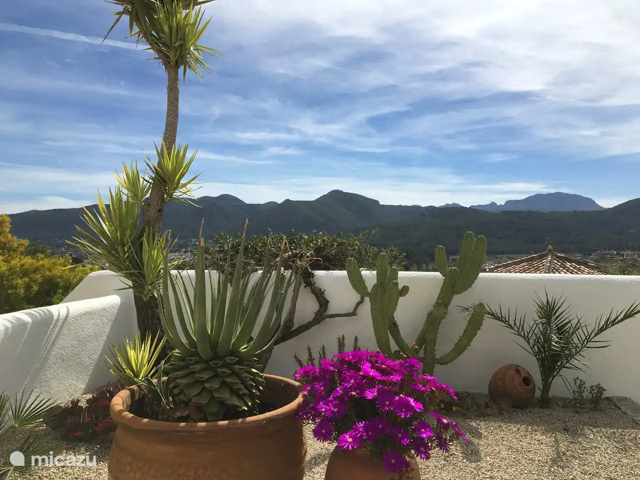 Blick vom Garten auf die Berge