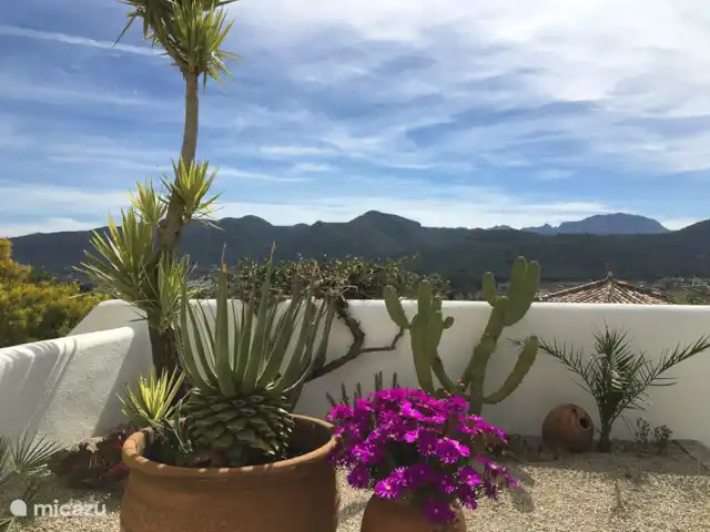 Vakantiehuis Valle del Paraiso huren in Spanje, Costa Blanca, Jalón - vakantiehuis Uitzicht op de bergen vanuit de tuin